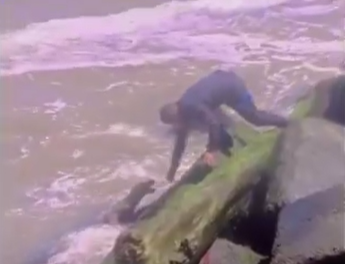 policias-rescatan-perrito-que-cayo-al-mar-en-el-malecon
