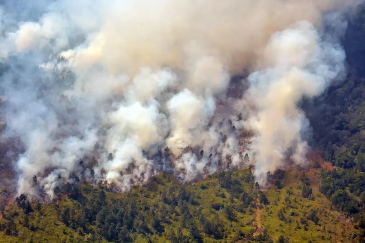 un-incendio-aun-activo-ha-quemado-mas-de-400-hectareas-de-bosque-al-oeste-de-cuba