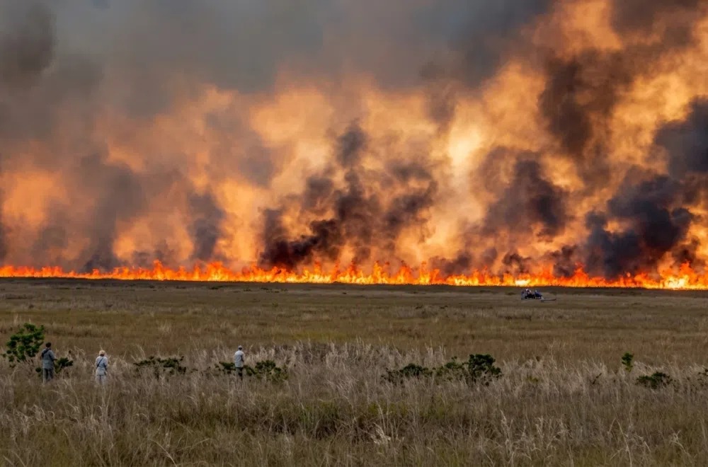 fuego-forestal-en-miami-preocupa-a-residentes-por-intensa-humareda
