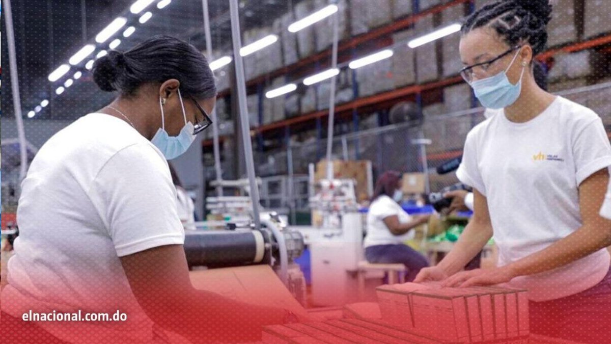 trabajadores-con-bajo-nivel-academico-y-sin-escolaridad-impulsan-crecimiento-mercado-laboral-en-rd
