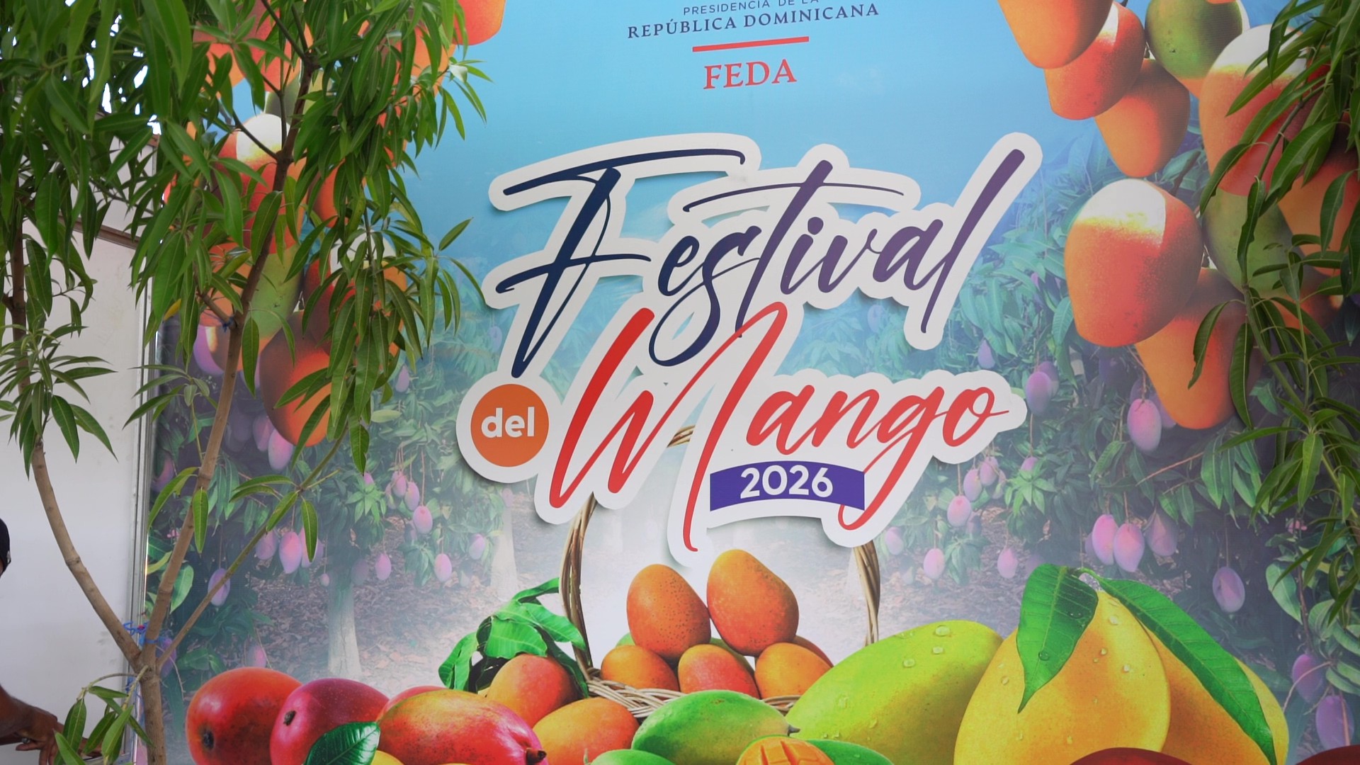 expo-mango-2026-convierte-a-bani-en-la-capital-del-mango-dominicano