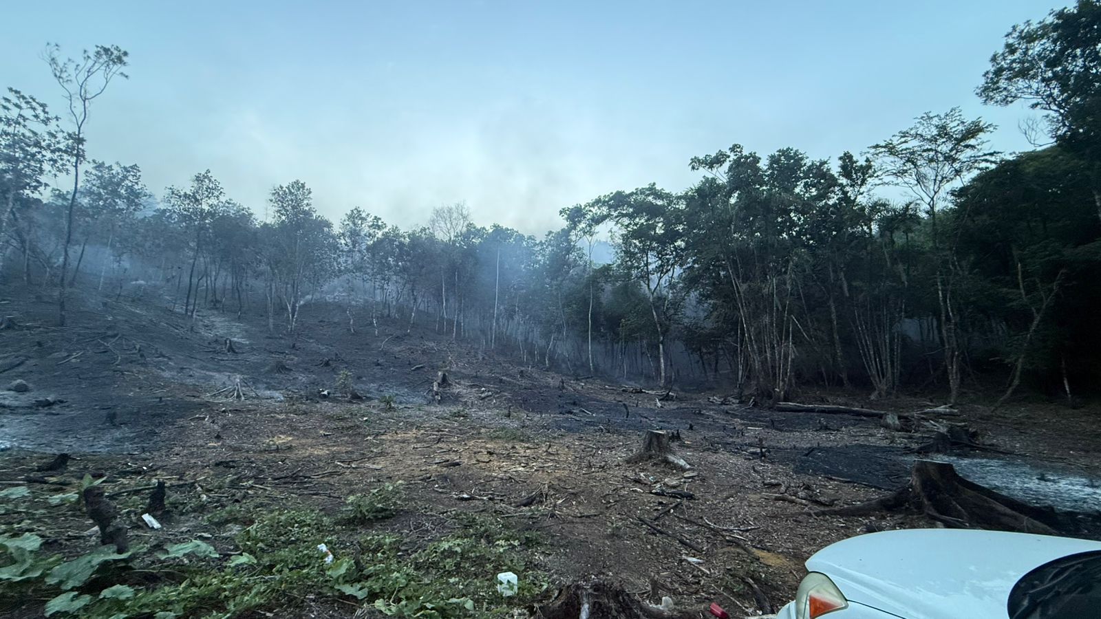 medio-ambiente-controla-incendio-en-monsenor-nouel