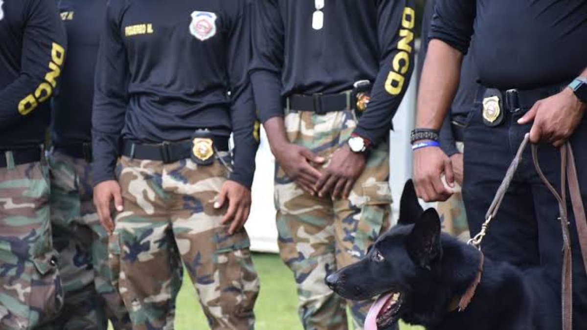 durante-entrenamiento-muere-aspirante-a-miembro-de-la-dncd